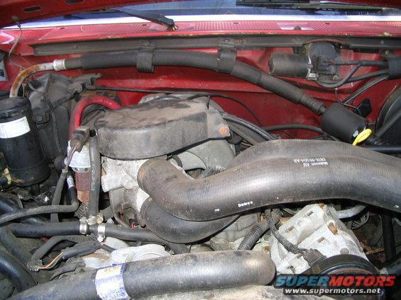 Engine bay with hoses and engine components visible