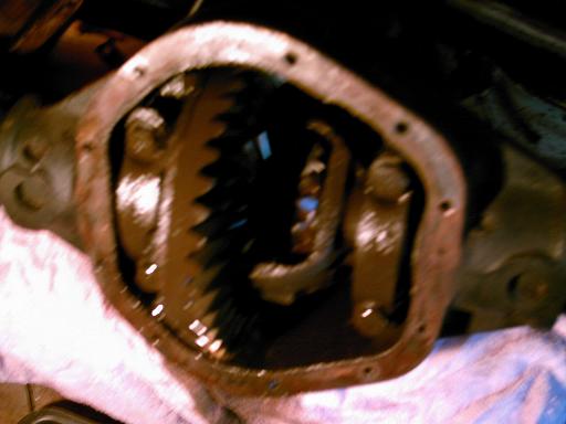 Differential housing with internal gears visible, covered in grease