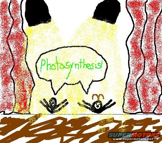 Drawing of two figures under a speech bubble that says "Photosynthesis!"