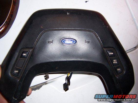100_0045.jpg 89 horn pad