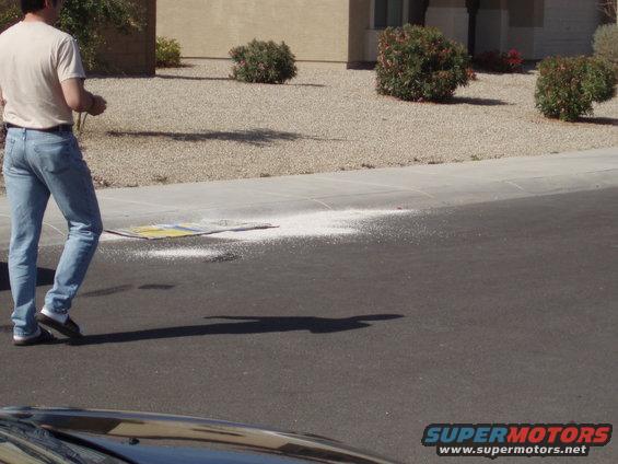 Cats piss.. Cars piss... use litter to clean up both... 