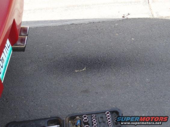 p2250024.jpg My car's running a little rich... can ya tell? 