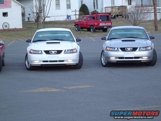 Two Ford Mustangs parked in a lot, one white and one silver. A red pickup truck is in the background
