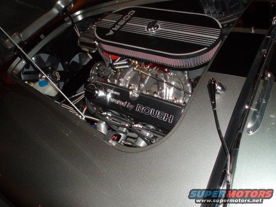 There's that motor in the Cobra... pretty farging sweet yo