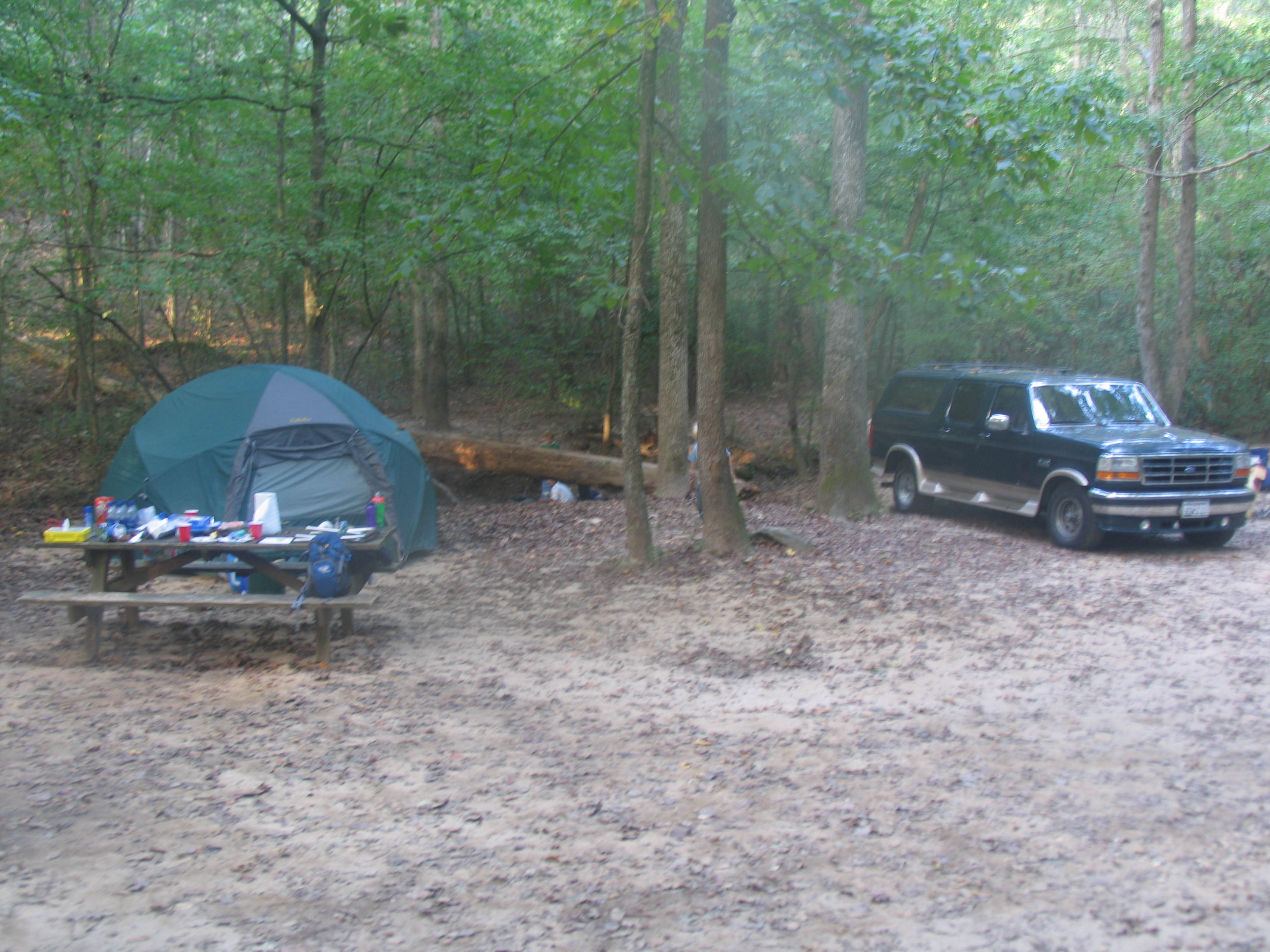 1995 Ford C-150 (Centurion Conversions)