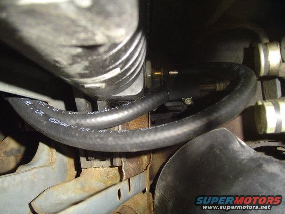 Black engine hose with white text, connected to brass fittings and metal components. Some rust visible