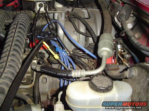 engine bay with spark plug wires, hoses, and engine block visible
