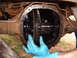 1988 Ford Bronco - Close-up of differential gears being worked on by gloved hands.