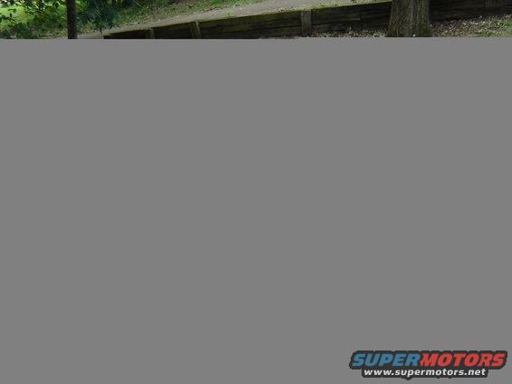Outdoor scene with trees and a wooden retaining wall