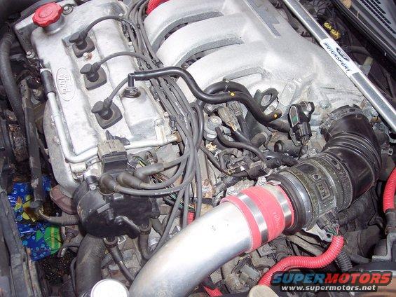 Close-up of a car engine bay with various hoses and wires visible