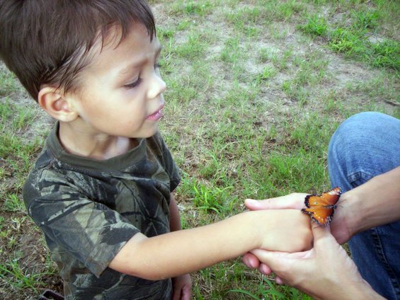 jrbutterfly.jpg He decided to take a break from hunting to catch a butterfly. 