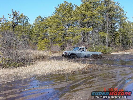 Gray pickup truck partially submerged in mud and water with trees in background