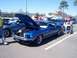 1995 Ford Bronco photo
