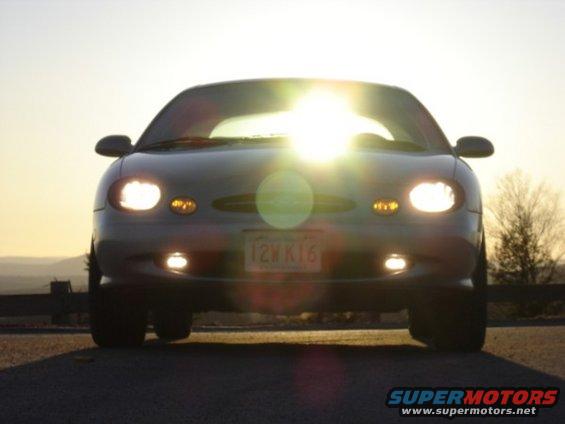 bull250.jpg 