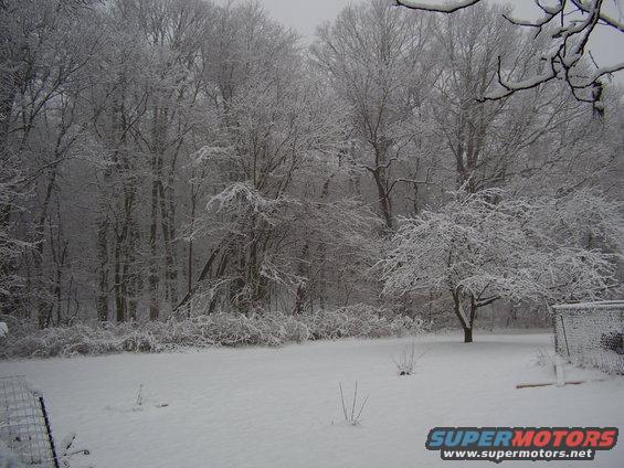 snowy backyard with trees and a fence, a "SUPERMOTORS" logo in the corner