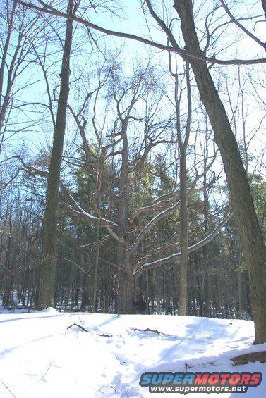picture_3514.jpg 