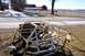 1979 Ford F-150 - A man sits in a rusty white roll cage in a rural setting with farm buildings in the background.