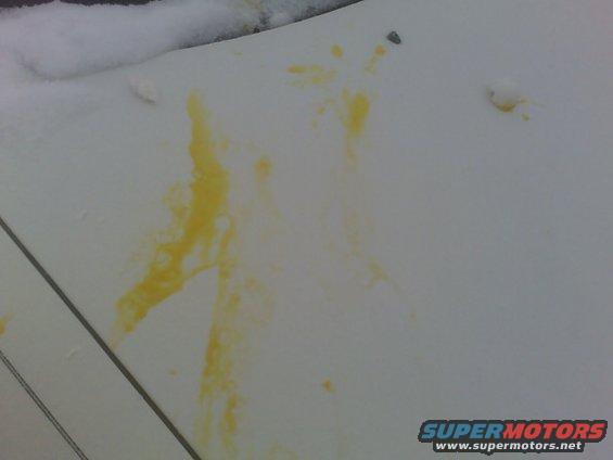 car hood covered in snow with yellow stains