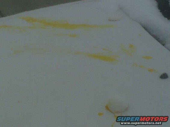 Snow-covered surface with yellow stains and a dark object