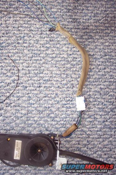 antenna-wiring-harness-003.jpg 