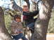 1966 Ford Ranchero - Two children enjoy a day climbing trees in the outdoors.