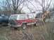 1986 Ford Bronco - A red and white SUV sits in a yard with tall grass and bare trees, its hood propped open.