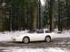 1989 Nissan 300ZX - A white Nissan 300ZX coupe is parked on a snow-covered road surrounded by tall pine trees.