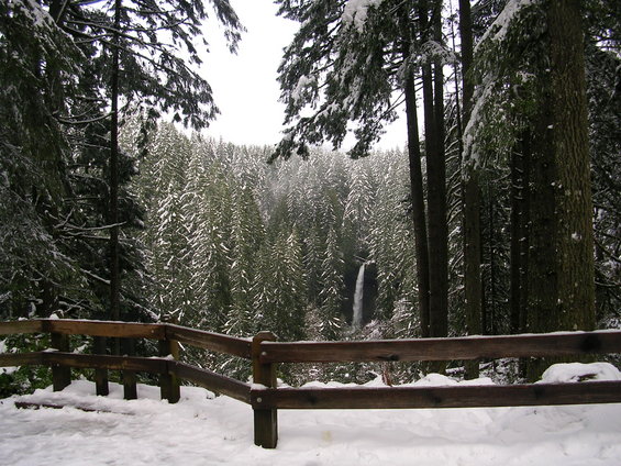 Wooden fence in foreground with snow-covered pine trees and a distant waterfall