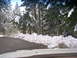 1989 Nissan 300ZX - A snowy forest road with snowbanks lining the asphalt, suggesting winter conditions.