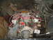 1981 Ford Bronco - got everything ripped off the top end except for one header.