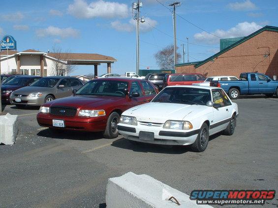 White 1987-1993 Ford Mustang parked next to a red Ford Crown Victoria in a parking lot