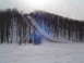 DSC09898.JPG