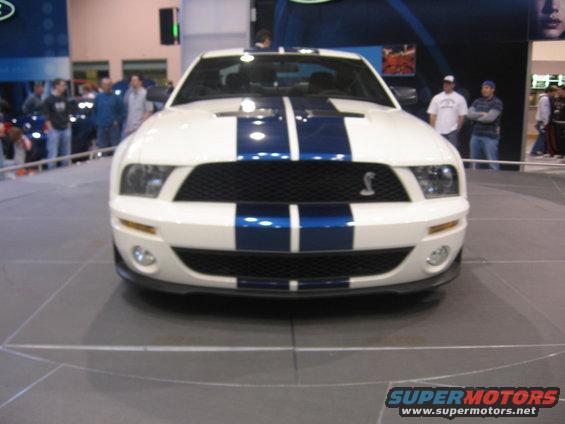White Ford Mustang Shelby GT500 with blue stripes, front view