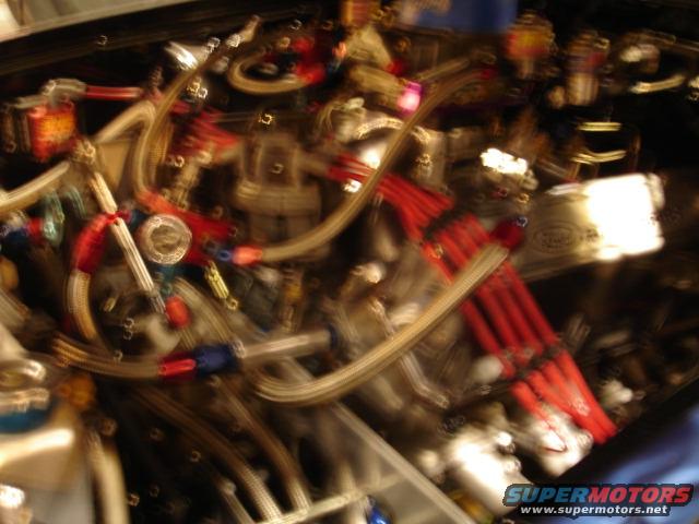 engine bay with red spark plug wires and braided hoses