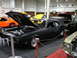 1981 Ford Mustang - A black coupe with its hood open is displayed indoors, alongside other vehicles.