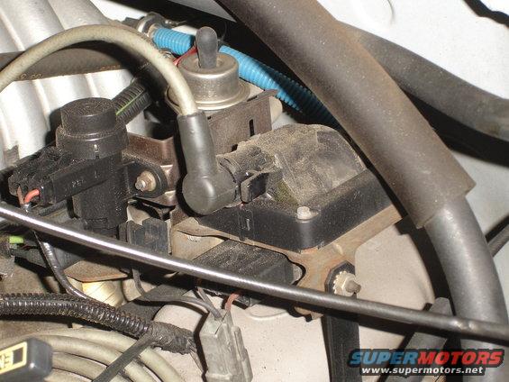 stock coil