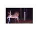 1992 Ford Bronco - A deer with large antlers is captured in a nighttime forest scene, timestamped March 5, 2006.