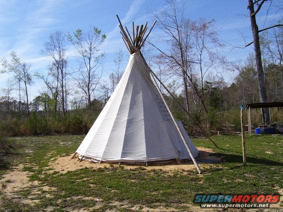 teepee in a grassy area with trees and a blue sky