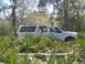 2000 Ford Excursion - A white 2000 Ford Excursion is partially obscured by palm fronds and trees, with two individuals leaning out of the windows.