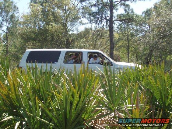 White 2000 Ford Excursion side view, partially obscured by palm fronds