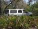 2000 Ford Excursion - A white Ford Excursion is partially obscured by dense foliage and trees.