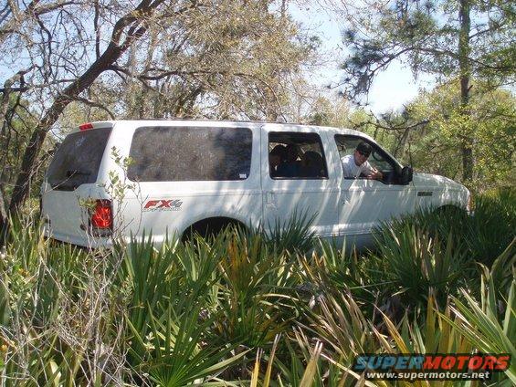 White 2000 Ford Excursion SUV with FX4 badging, partially obscured by foliage, seen from the side