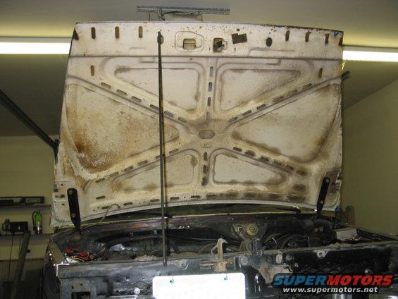 1981 Ford Bronco hood underside with engine bay visible