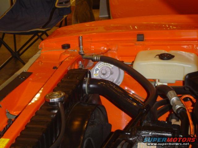 Orange engine bay with radiator, hoses, and fluid reservoir