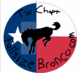 1991 Ford Bronco photo