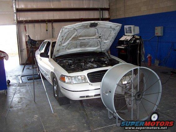 On Straightline Performance's Dyno ready to roll.