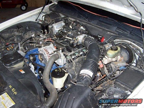 Engine bay of a 2000 Ford Crown Victoria, showing the V8 engine, alternator, air intake, and brake fluid reservoir