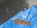 1979 Ford Bronco - A rusty metal bracket is shown on a blue tarp.