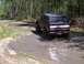 1991 Ford Bronco - SUCCESS...
