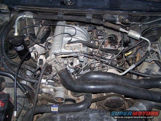 Engine bay with lots of hoses and wires visible. Some text on a black cylinder and a blue label on a hose